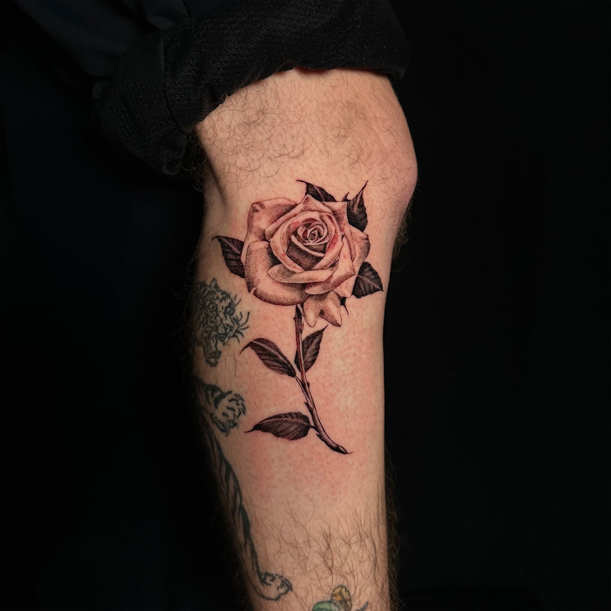 Tattoo of a rose on a person's arm against a black background